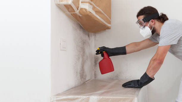 Professional Commercial Mold Remediation technician working in Ludington, MI