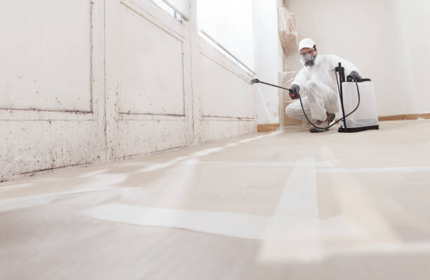 24/7 Emergency Commercial Mold Remediation experts in Ludington, MI